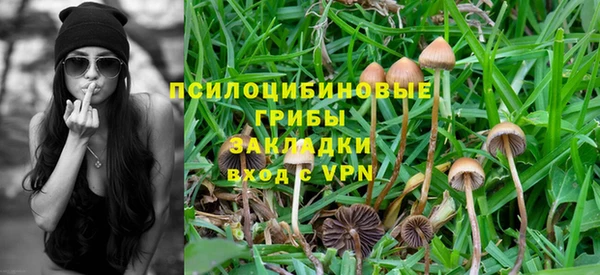 амф Нефтекумск