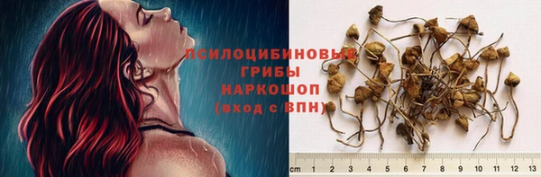 амф Нефтекумск