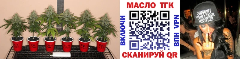 Купить  Мостовской  Дистиллят ТГК THC oil 